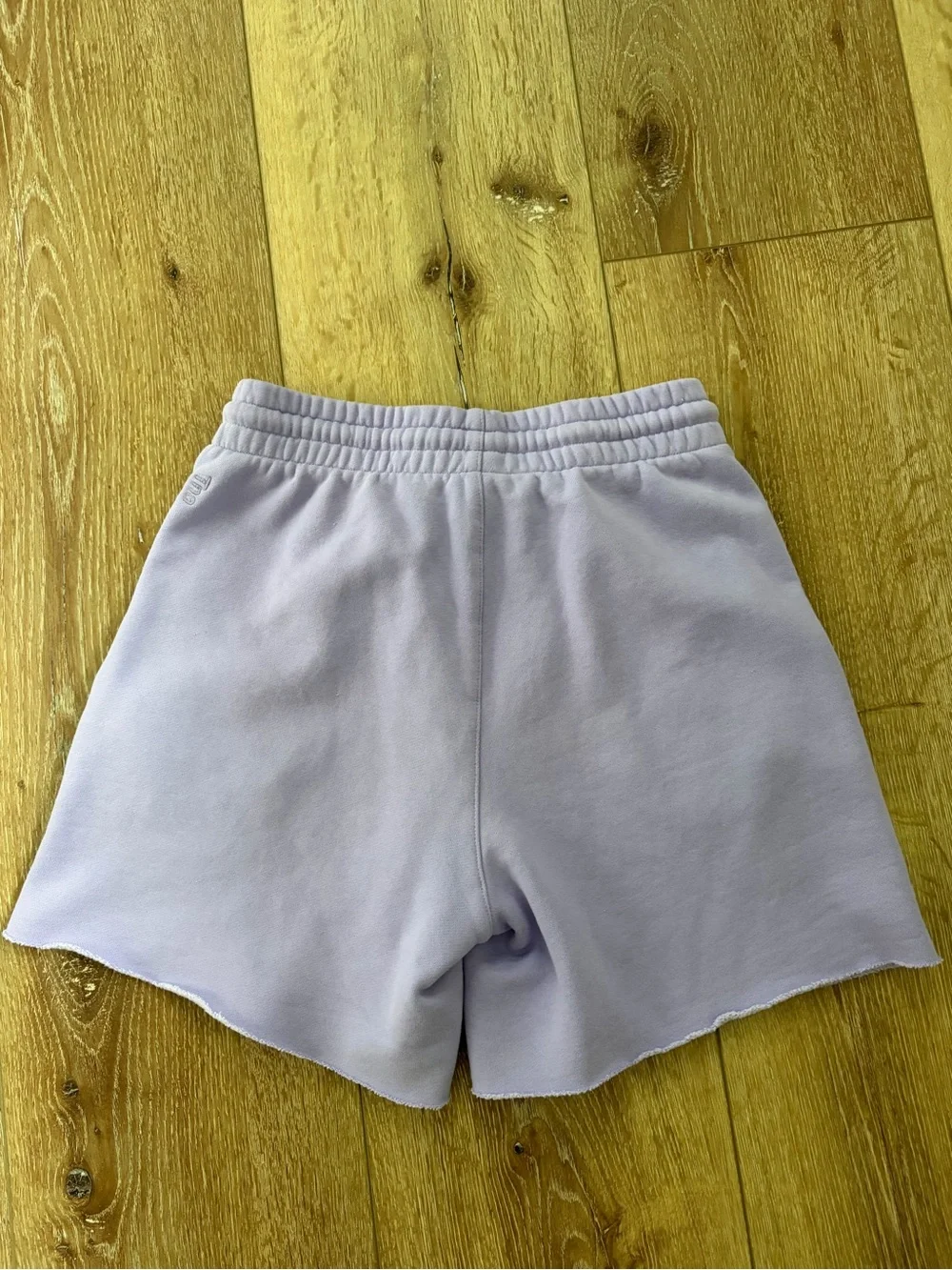 Lilac Aritzia TNA sweat shorts